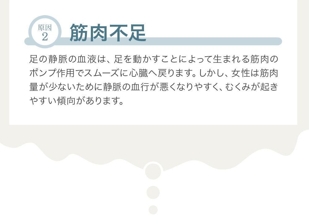 原因2 筋肉不足 足の静脈の血液は、足を動かすことによって生まれる筋肉のポンプ作用でスムーズに心臓へ戻ります。しかし、女性は筋肉量が少ないために静脈の血行が悪くなりやすく、むくみが起きやすい傾向があります。