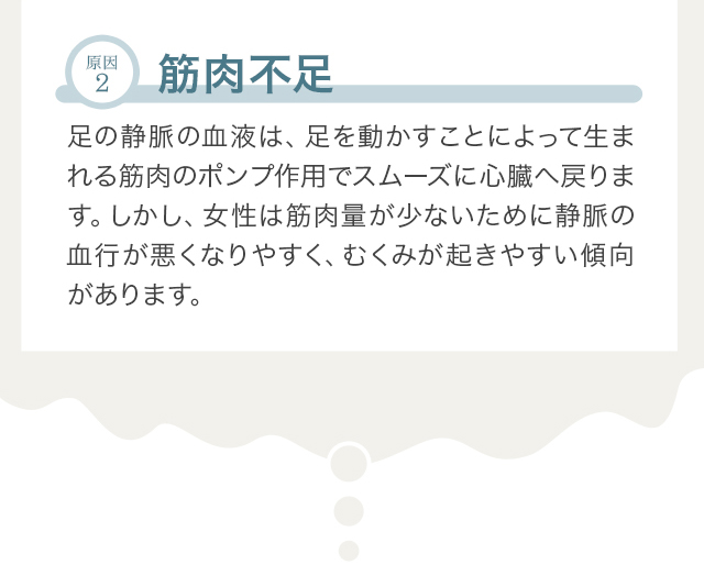 原因2 筋肉不足 足の静脈の血液は、足を動かすことによって生まれる筋肉のポンプ作用でスムーズに心臓へ戻ります。しかし、女性は筋肉量が少ないために静脈の血行が悪くなりやすく、むくみが起きやすい傾向があります。