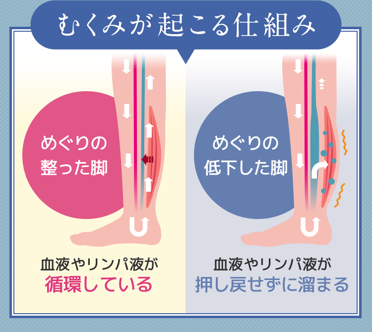 むくみが起こる仕組み